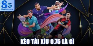 Kèo Tài Xỉu 0.75 Là Gì